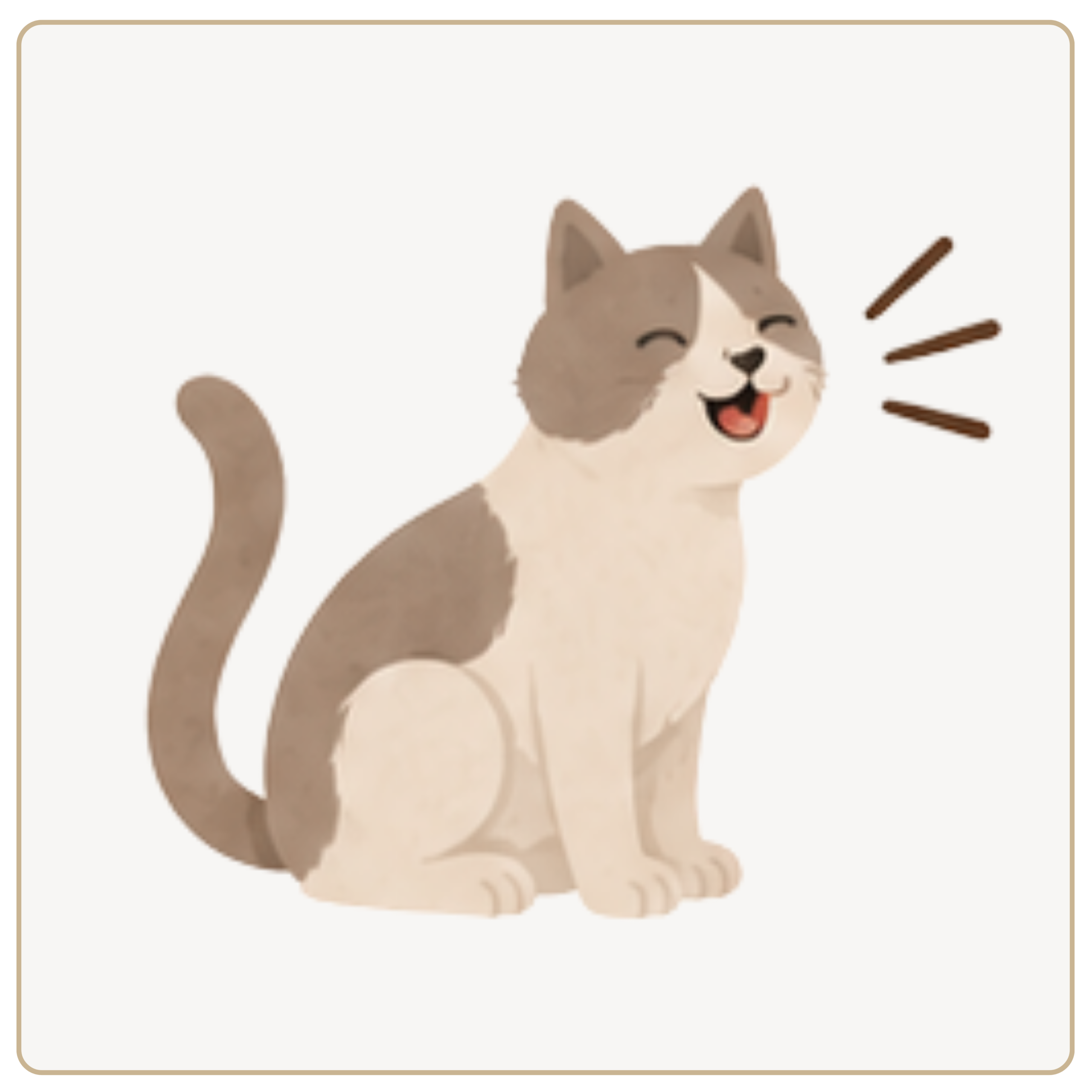 cat-image