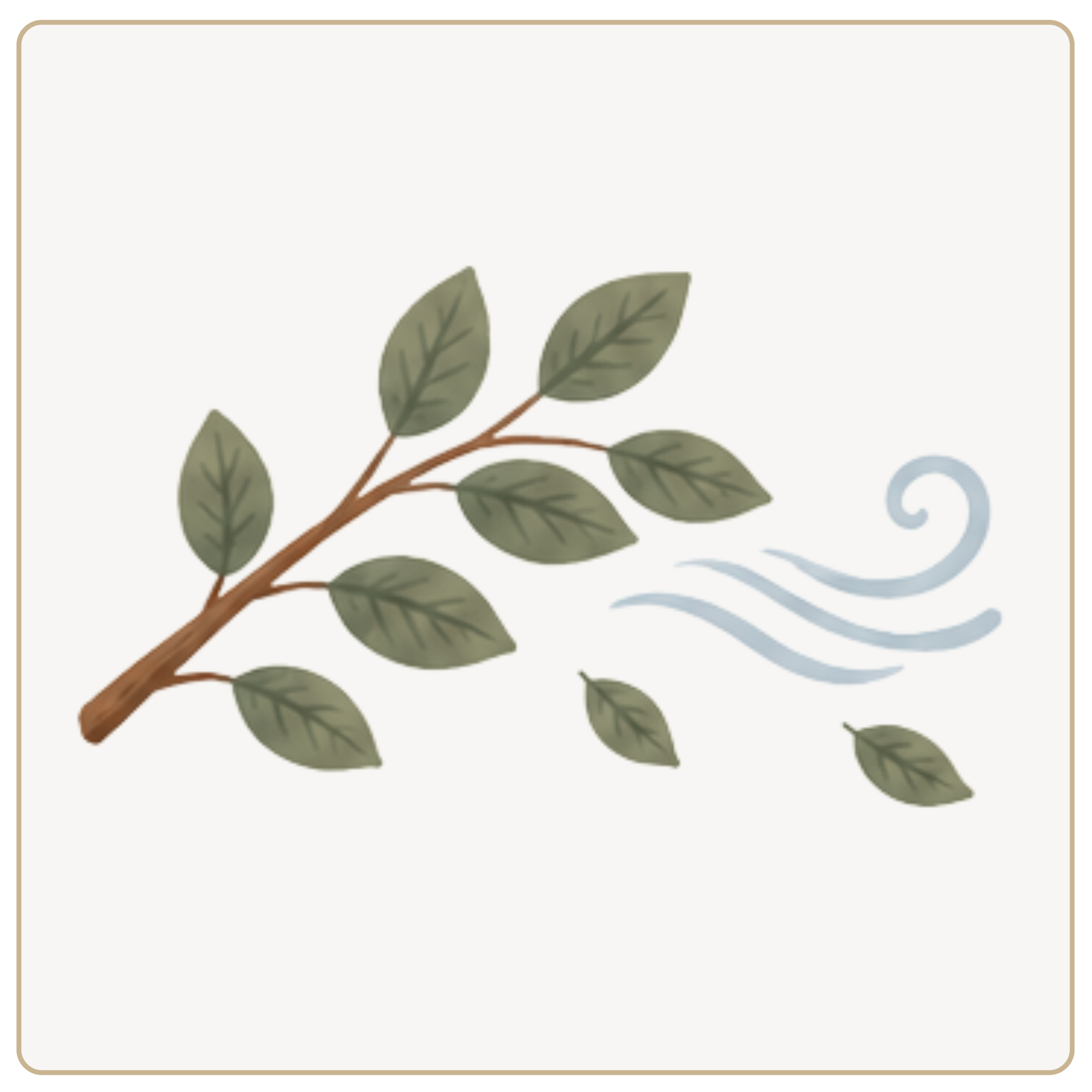wind